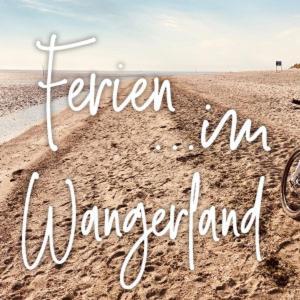 Ferien Im Wangerland Ferienwohnung Insel Minsen Schillig Hund Pool Sauna Ngoại thất bức ảnh